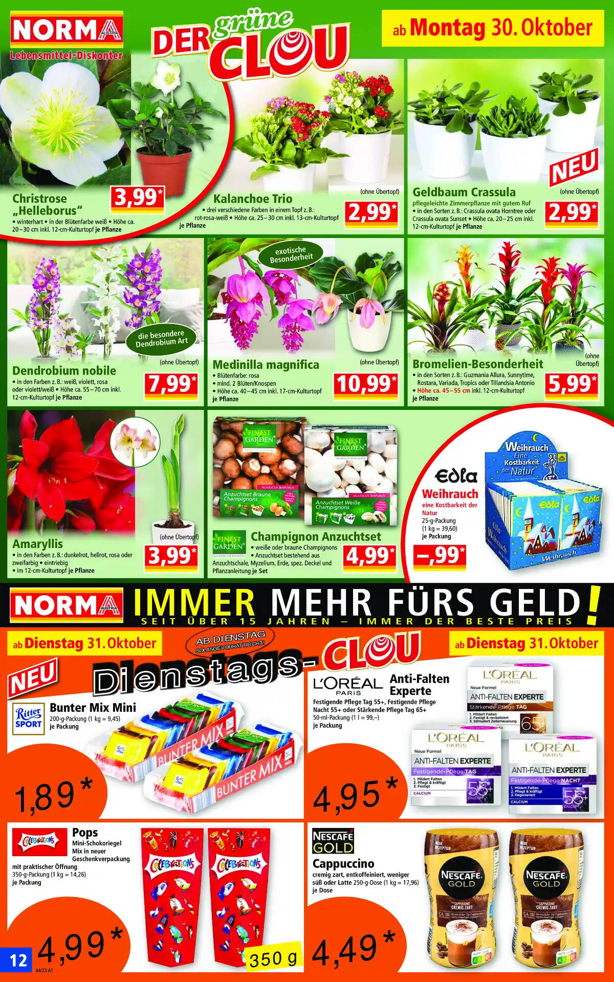 norma_at