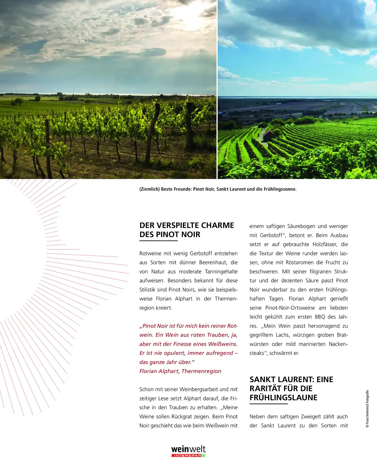 interspar_at