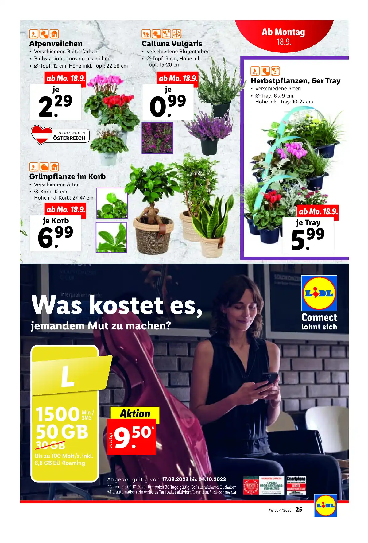 lidl_at